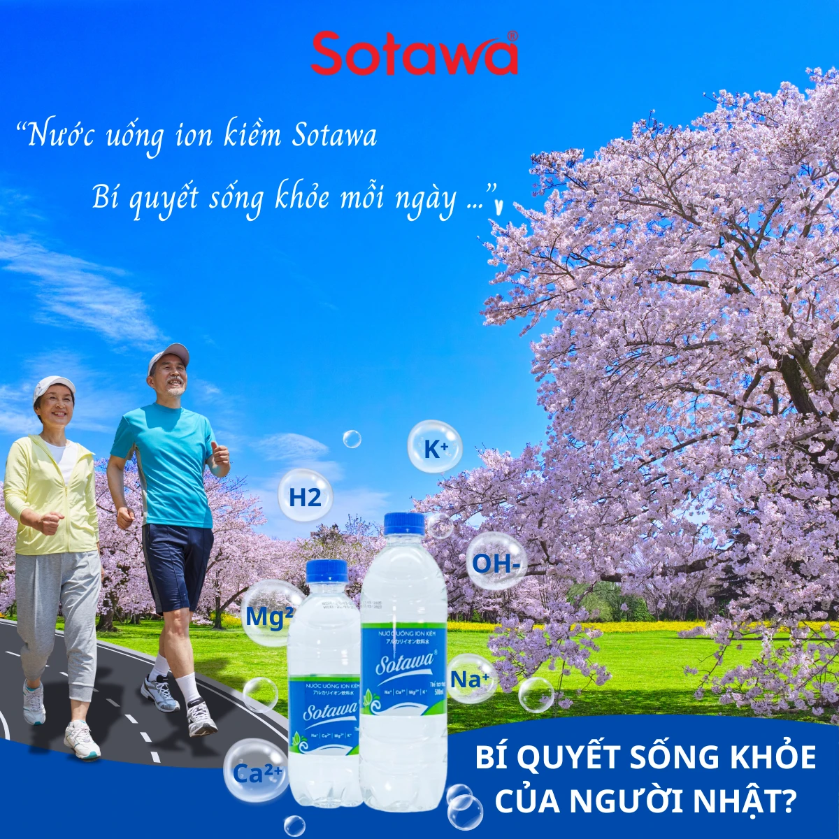 HỌC ĐƯỢC GÌ TỪ THÓI QUEN SỐNG LÀNH MẠNH CỦA NGƯỜI NHẬT?